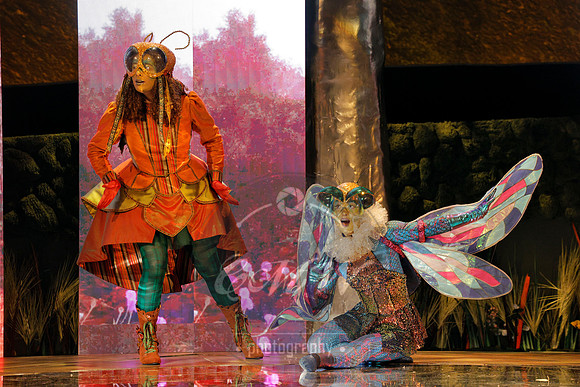 Des Moines Metro Opera, The Cunning Little Vixen