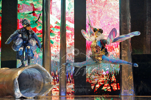 Des Moines Metro Opera, The Cunning Little Vixen