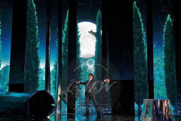 Des Moines Metro Opera, The Cunning Little Vixen