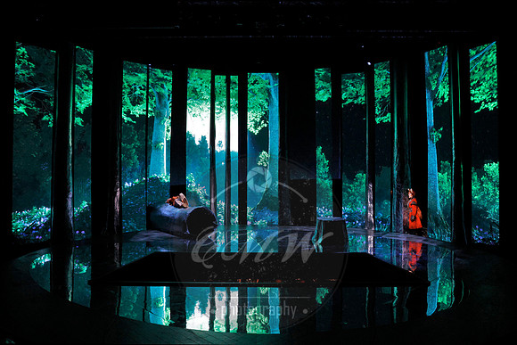 Des Moines Metro Opera, The Cunning Little Vixen