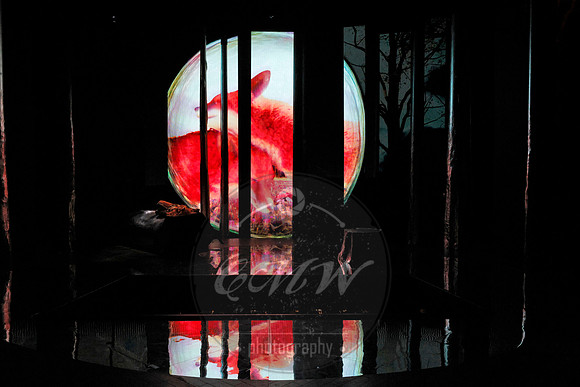 Des Moines Metro Opera, The Cunning Little Vixen