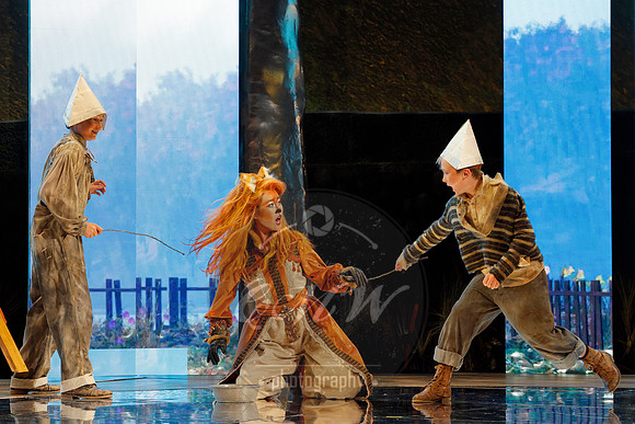 Des Moines Metro Opera, The Cunning Little Vixen