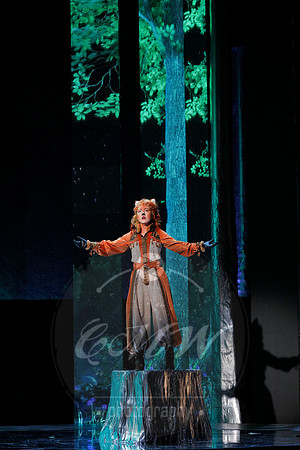 Des Moines Metro Opera, The Cunning Little Vixen