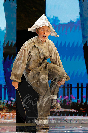 Des Moines Metro Opera, The Cunning Little Vixen