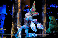 Des Moines Metro Opera, The Cunning Little Vixen
