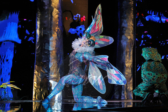 Des Moines Metro Opera, The Cunning Little Vixen