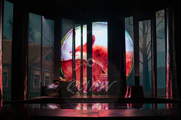 Des Moines Metro Opera, The Cunning Little Vixen
