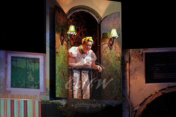 Des Moines Metro Opera, Barber of Seville
