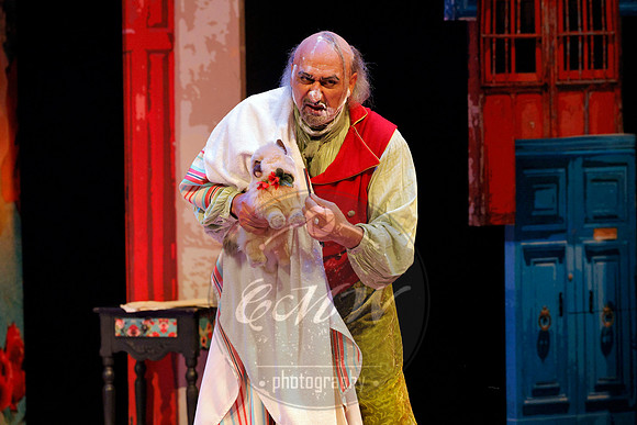 Des Moines Metro Opera, Barber of Seville