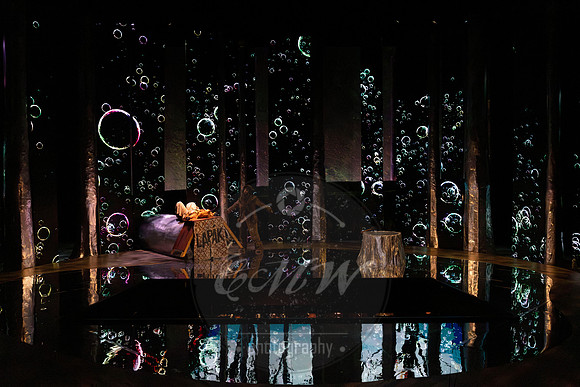 Des Moines Metro Opera, The Cunning Little Vixen