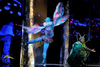 Des Moines Metro Opera, The Cunning Little Vixen