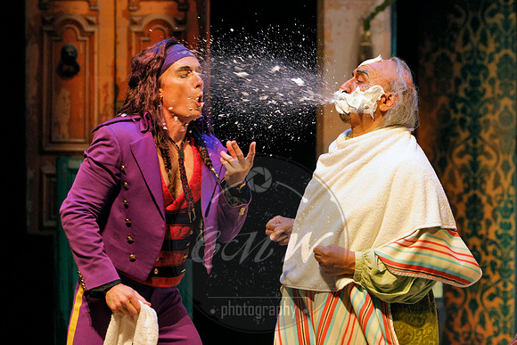 Des Moines Metro Opera, Barber of Seville