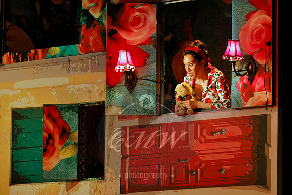 Des Moines Metro Opera, Barber of Seville