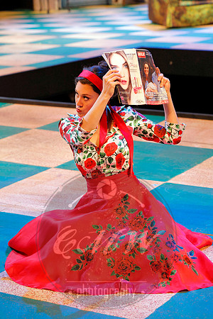 Des Moines Metro Opera, Barber of Seville