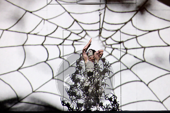 San Francisco Opera, Magic Flute (2024)