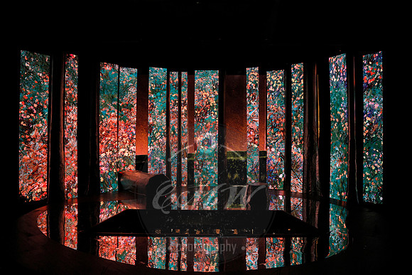 Des Moines Metro Opera, The Cunning Little Vixen