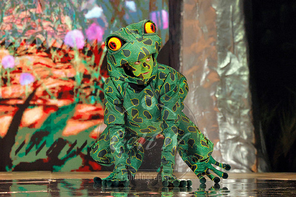 Des Moines Metro Opera, The Cunning Little Vixen