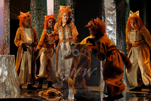 Des Moines Metro Opera, The Cunning Little Vixen