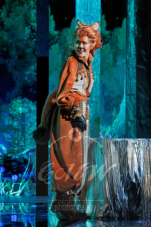 Des Moines Metro Opera, The Cunning Little Vixen