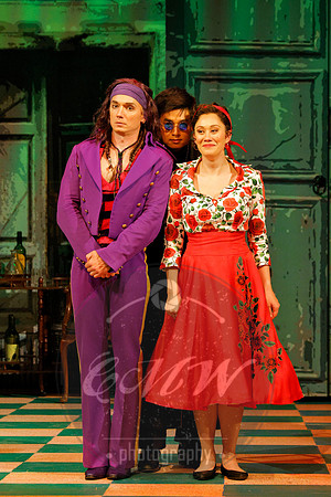 Des Moines Metro Opera, Barber of Seville
