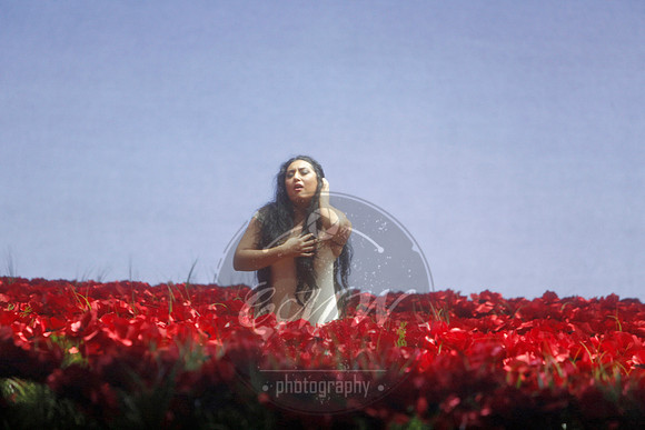 Metropolitan Opera, Prince Igor