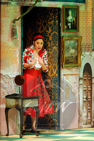 Des Moines Metro Opera, Barber of Seville