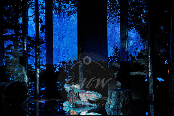 Des Moines Metro Opera, The Cunning Little Vixen