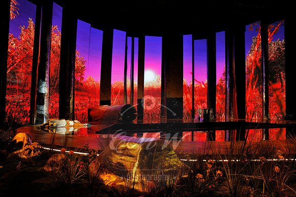 Des Moines Metro Opera, The Cunning Little Vixen