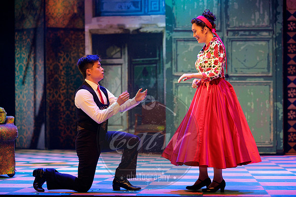 Des Moines Metro Opera, Barber of Seville