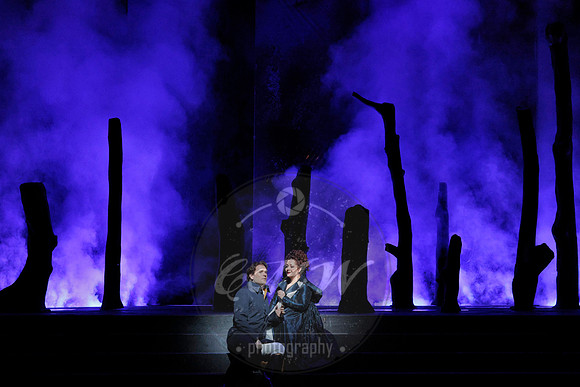 San Francisco Opera, ​​​​​​​Un Ballo in Mascara