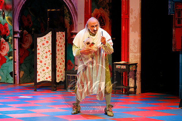 Des Moines Metro Opera, Barber of Seville