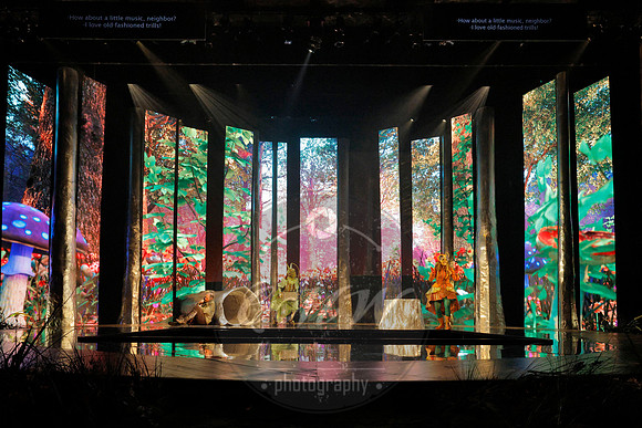 Des Moines Metro Opera, The Cunning Little Vixen