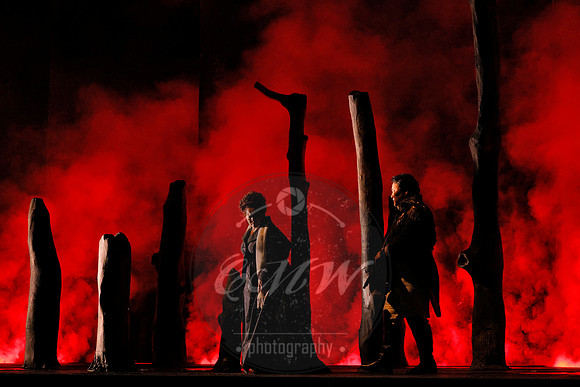 San Francisco Opera, ​​​​​​​Un Ballo in Mascara