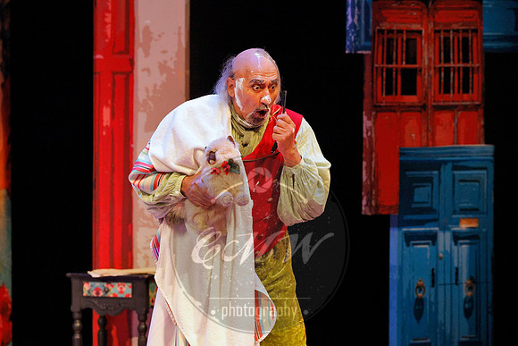 Des Moines Metro Opera, Barber of Seville