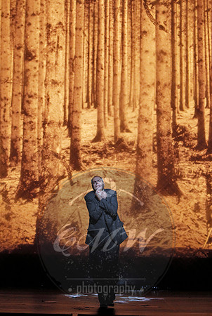 Bard Summerscape, The Distant Sound, Der ferne Klang
