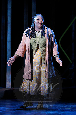 Washington National Opera, Turandot