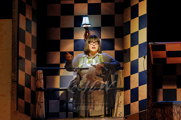 Des Moines Metro Opera, Barber of Seville