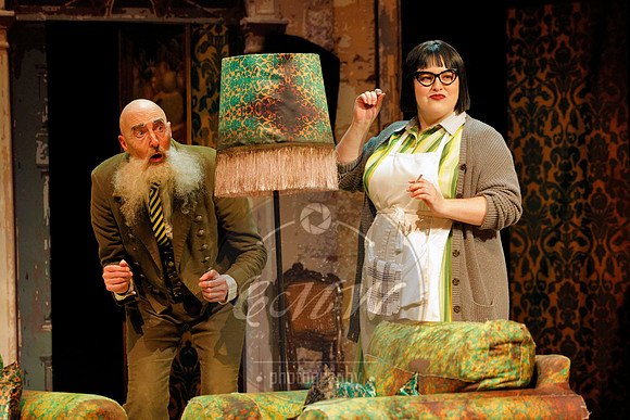 Des Moines Metro Opera, Barber of Seville