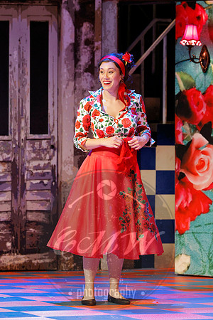 Des Moines Metro Opera, Barber of Seville