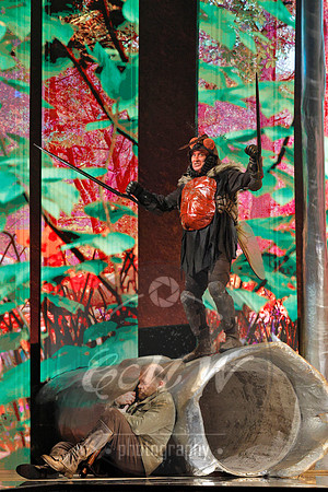 Des Moines Metro Opera, The Cunning Little Vixen