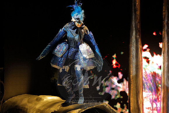 Des Moines Metro Opera, The Cunning Little Vixen