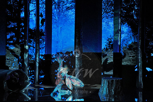 Des Moines Metro Opera, The Cunning Little Vixen