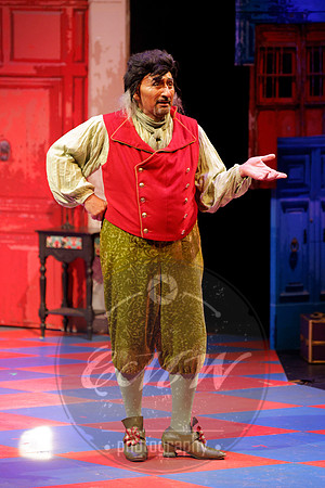 Des Moines Metro Opera, Barber of Seville