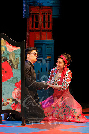 Des Moines Metro Opera, Barber of Seville