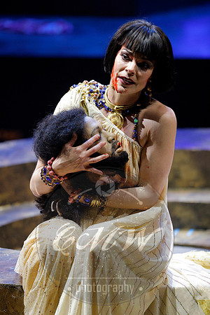 Des Moines Metro Opera, Salome