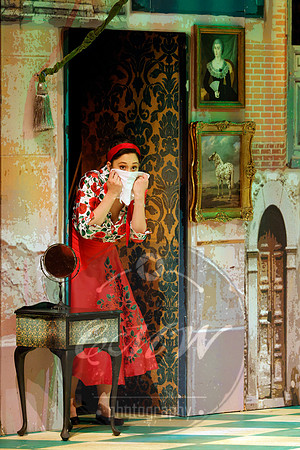 Des Moines Metro Opera, Barber of Seville