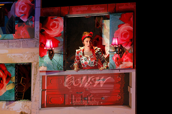 Des Moines Metro Opera, Barber of Seville