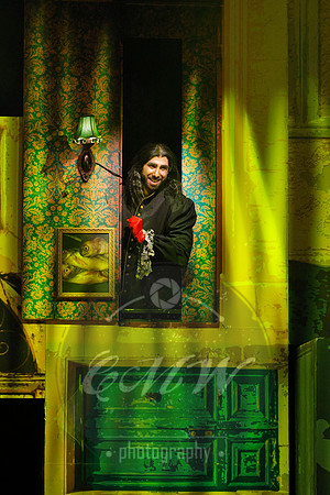 Des Moines Metro Opera, Barber of Seville