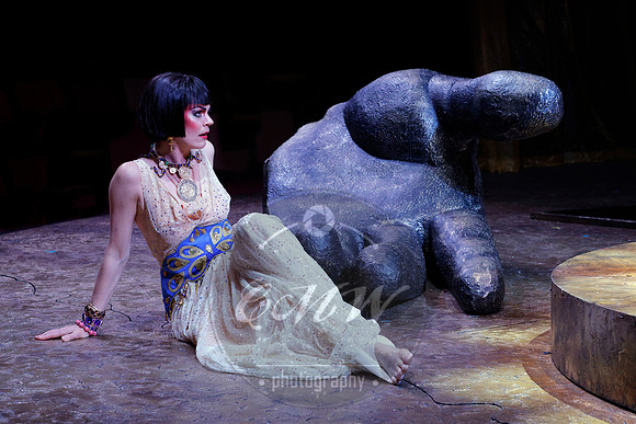 Des Moines Metro Opera, Salome