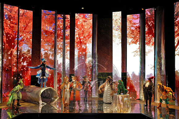 Des Moines Metro Opera, The Cunning Little Vixen